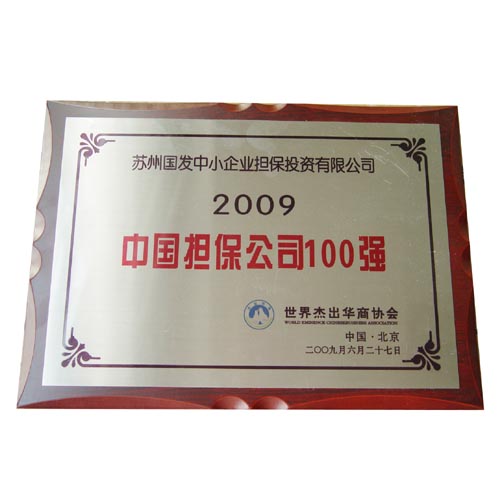 中国担保公司100强